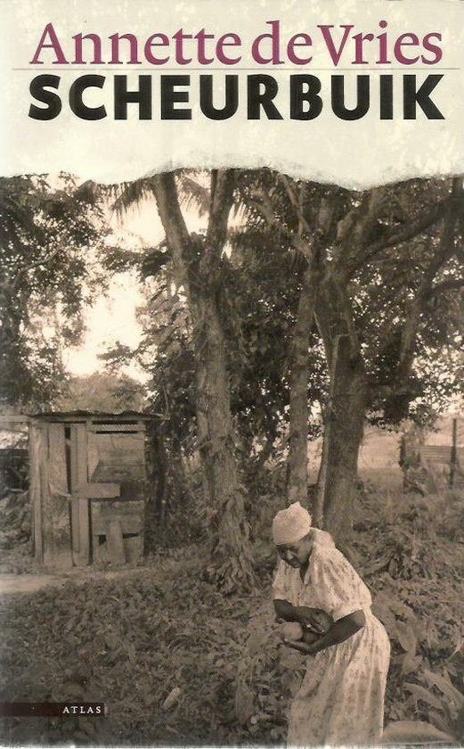 ANNETTE DE VRIES Scheurbuik, Ophalen of Verzenden, Gelezen