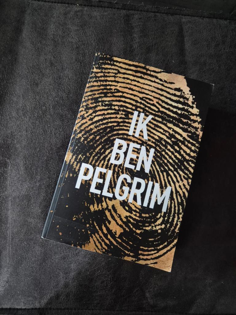 Ik Ben Pelgrim - Terry Hayes (Leesboek), Boeken, Ophalen of Verzenden, Gelezen, Terry Hayes