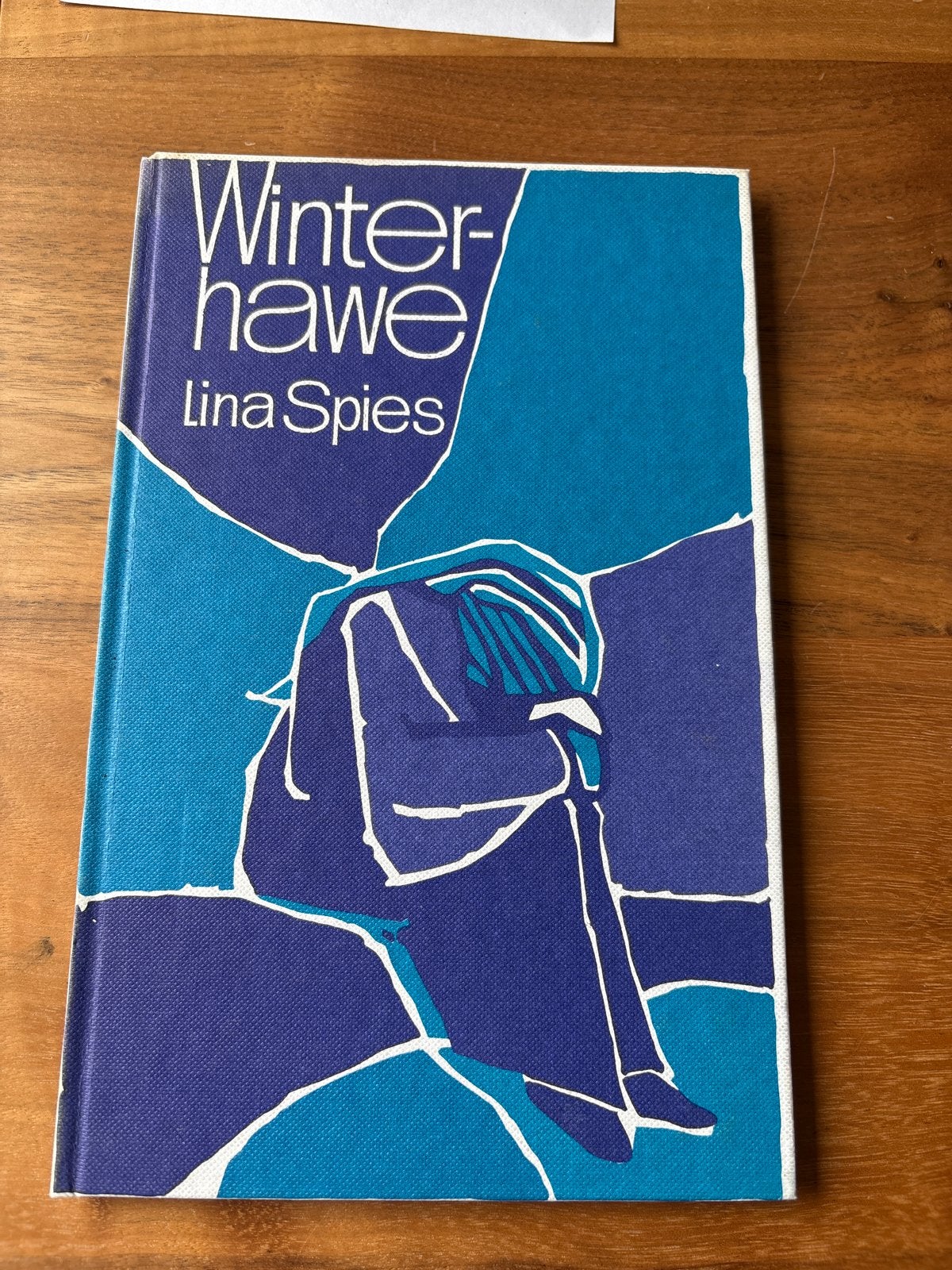 Winterhawe - Lina Spies (Hardcover), Ophalen of Verzenden, Zo goed als nieuw, Nederland
