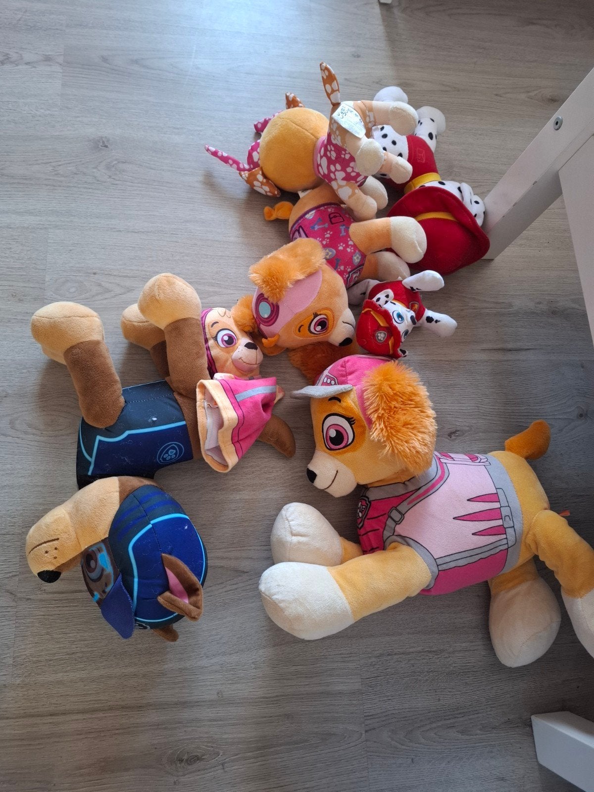 paw patrol knuffels, Ophalen, Hond