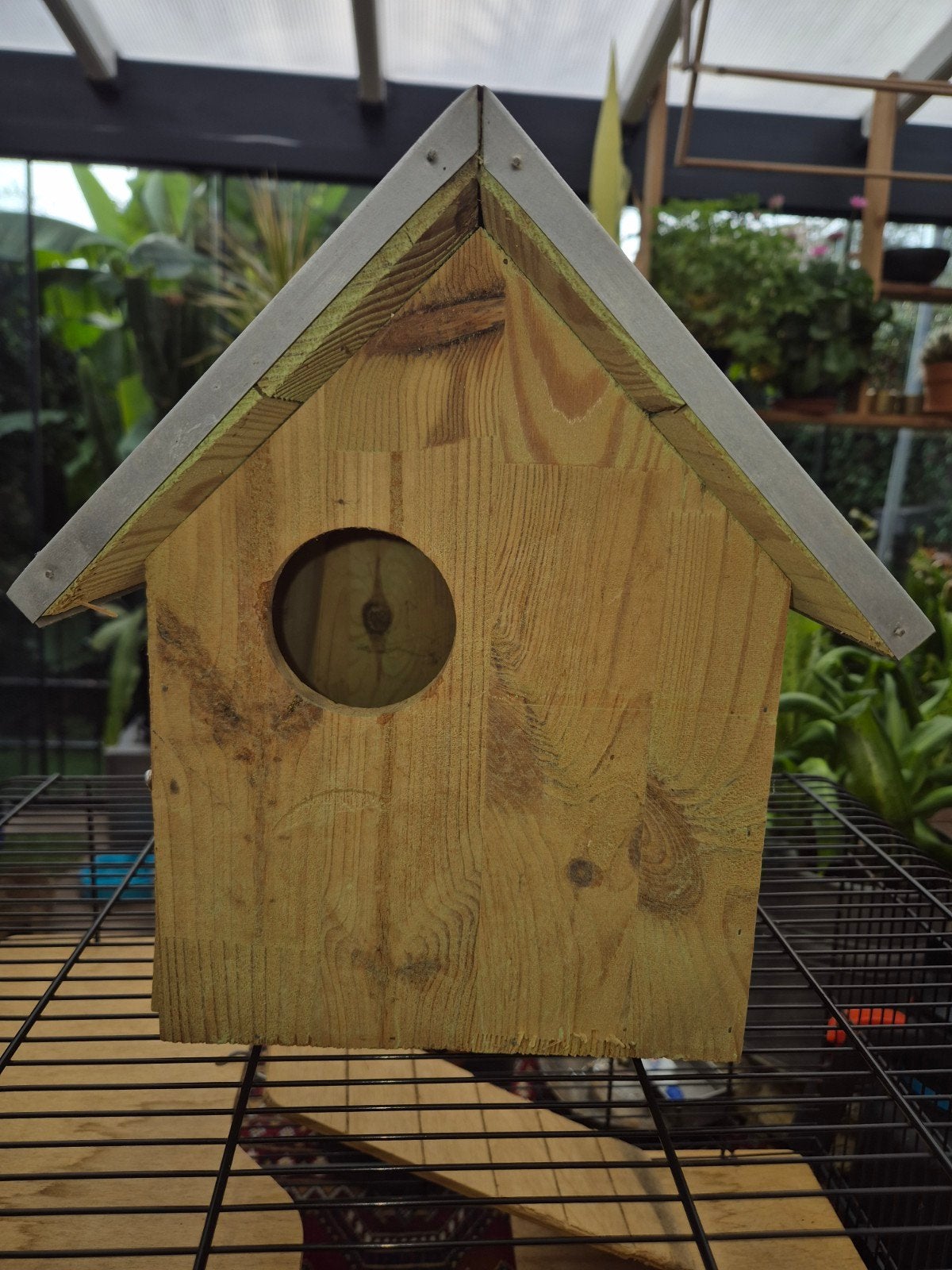 Nieuw eekhoorn huisje, Tuin en Terras, Ophalen, Nieuw