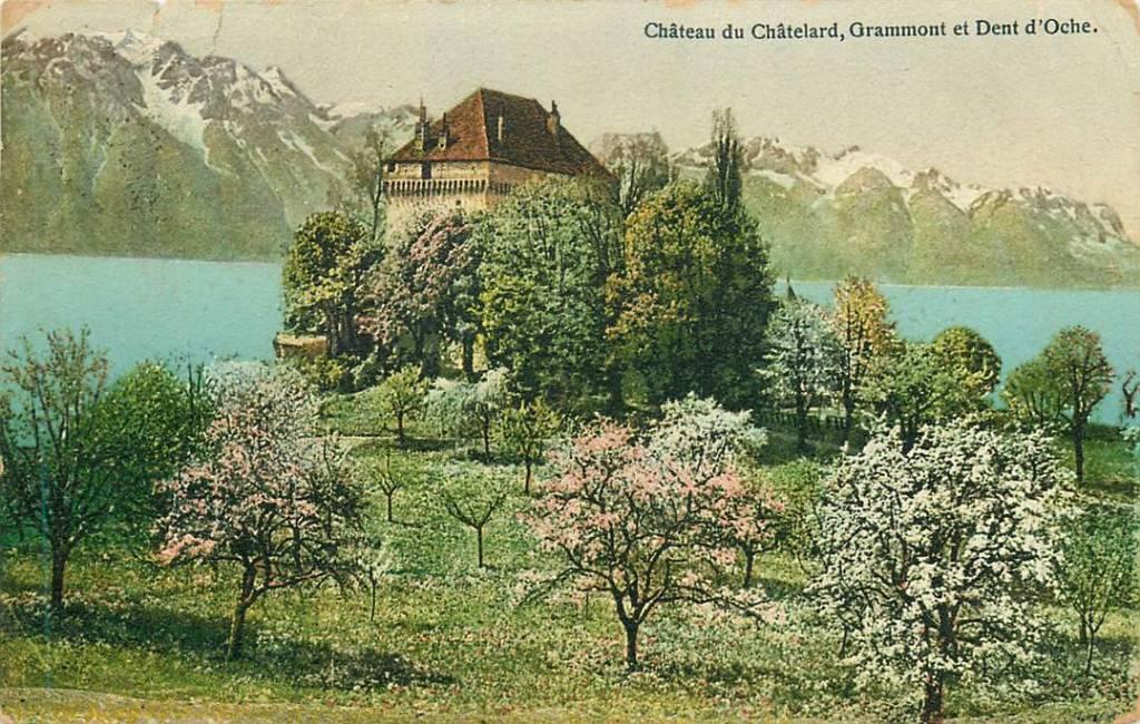 381-219-035 Chateau du Chatelard, Verzenden, Voor 1920, Overig Europa