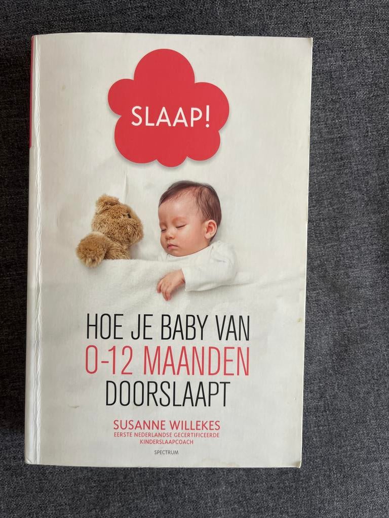 Slaap! Hoe je baby van 0-12 maanden doorslaapt, Ophalen of Verzenden, Gelezen, Opvoeding tot 6 jaar