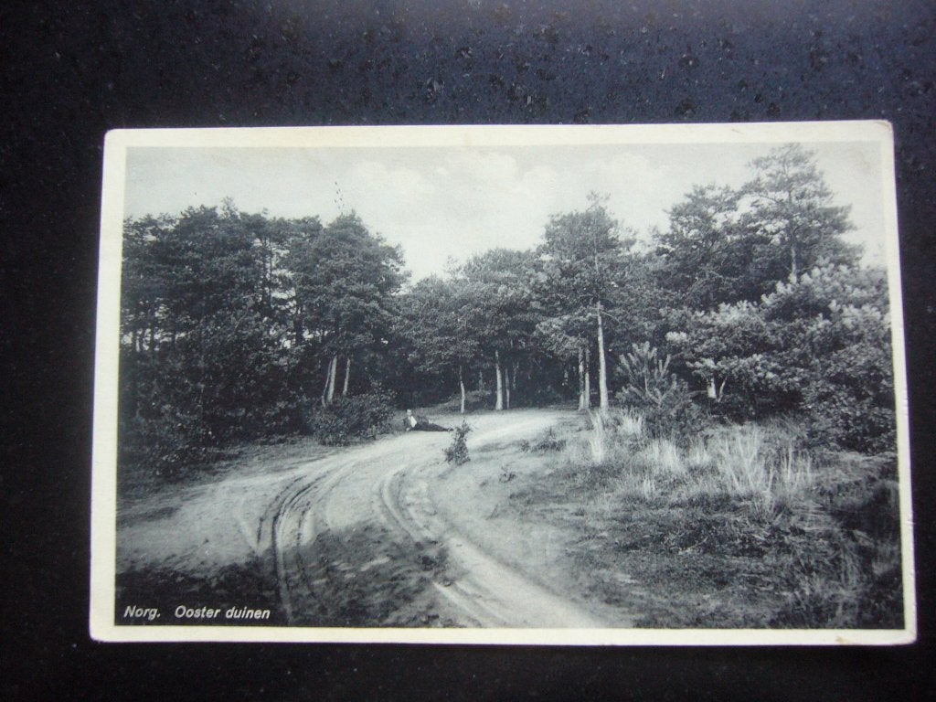 NORG  =  OOSTER DUINEN   1936, Ophalen of Verzenden, 1920 tot 1940, Gelopen