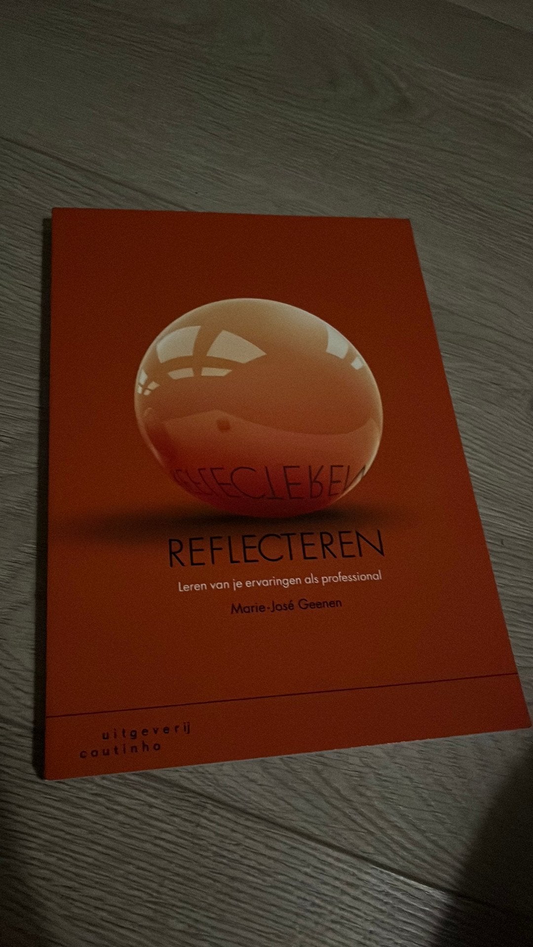 Marie-José Geenen - Reflecteren, Boeken, Zo goed als nieuw, Nederland, Marie-José Geenen, Ophalen of Verzenden