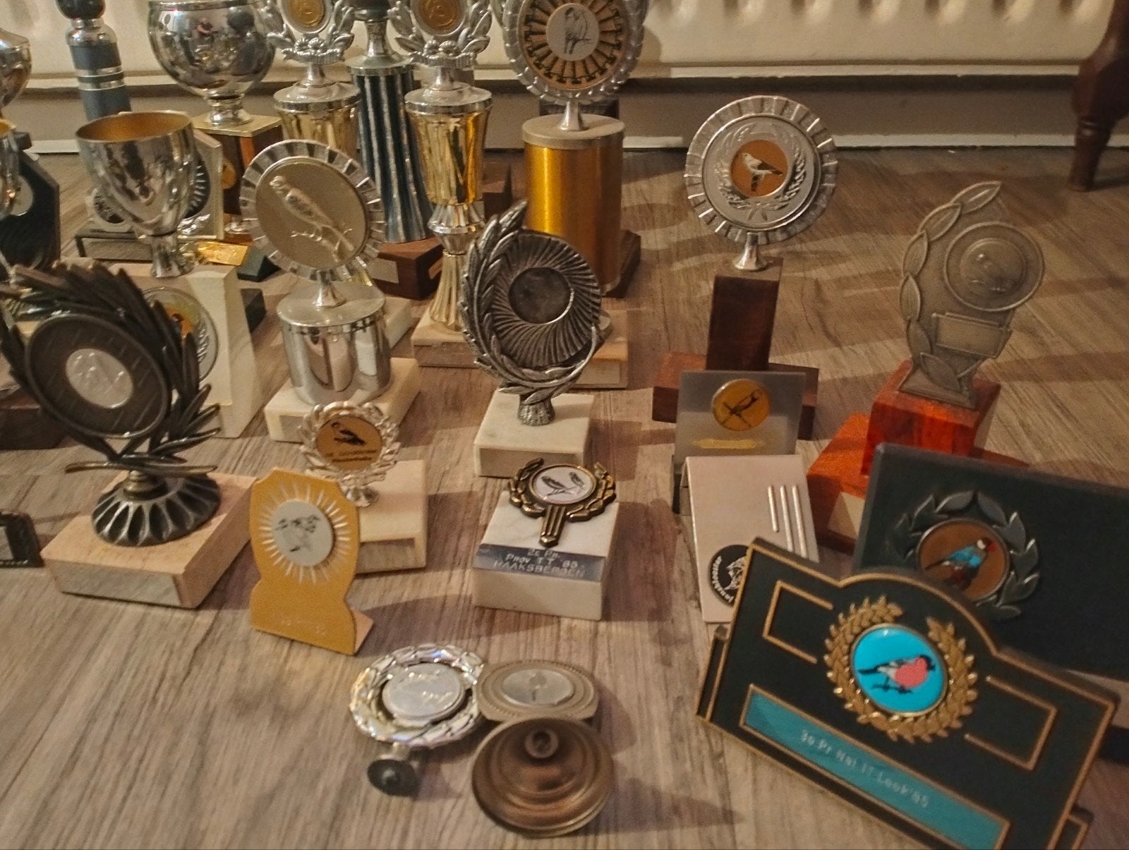 Diverse bekers en trofeeën van vogel tentoonstellingen, Ophalen of Verzenden, Gebruikt