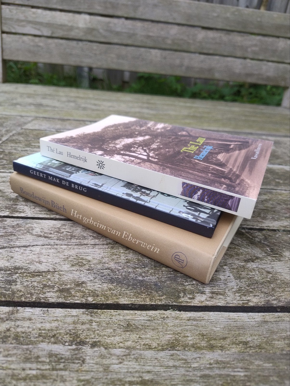 Literair boekenpakket: Geert Mak, Boudewijn Büch & Thé Lau, Boeken, Ophalen of Verzenden, Gelezen, Geert Mak, Boudewijn Büch, Thé Lau