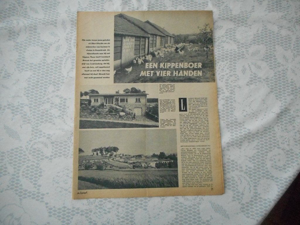 Hoensbroek. L. Mrosek. Kippenboer met vier handen. 1960., Ophalen of Verzenden, 1960 tot 1980, Nederland, Knipsel(s)
