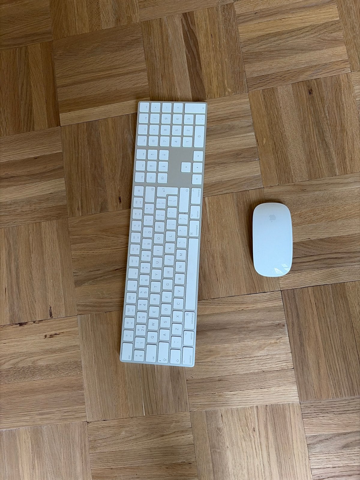 Apple Magic Keyboard en Magic Mouse - Draadloze set, Computers en Software, Toetsenborden, Zo goed als nieuw, Qwerty, Draadloos