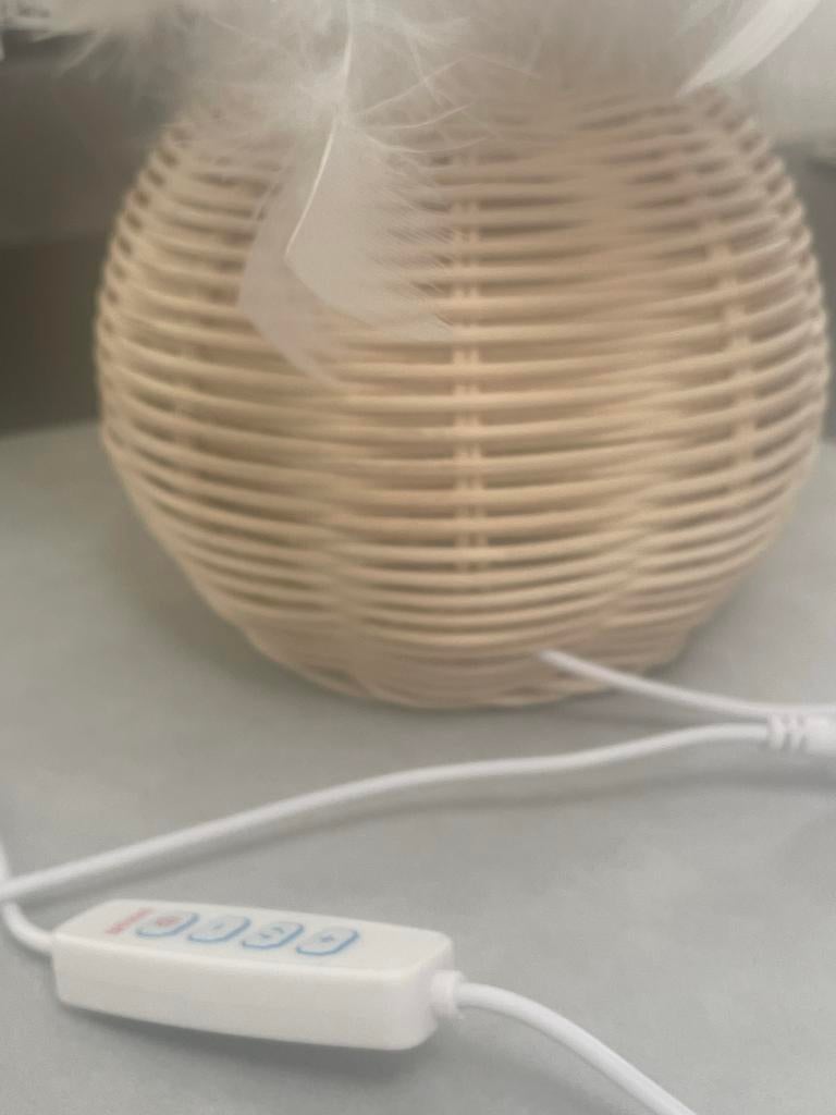 Tafellamp met veren en rotan look, Ophalen, Zo goed als nieuw