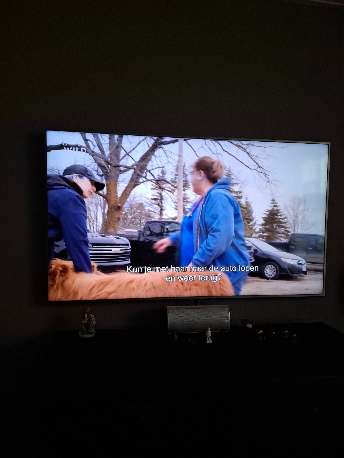 Samsung Smart Tv, Ophalen, 100 cm of meer, 50 Hz, Samsung