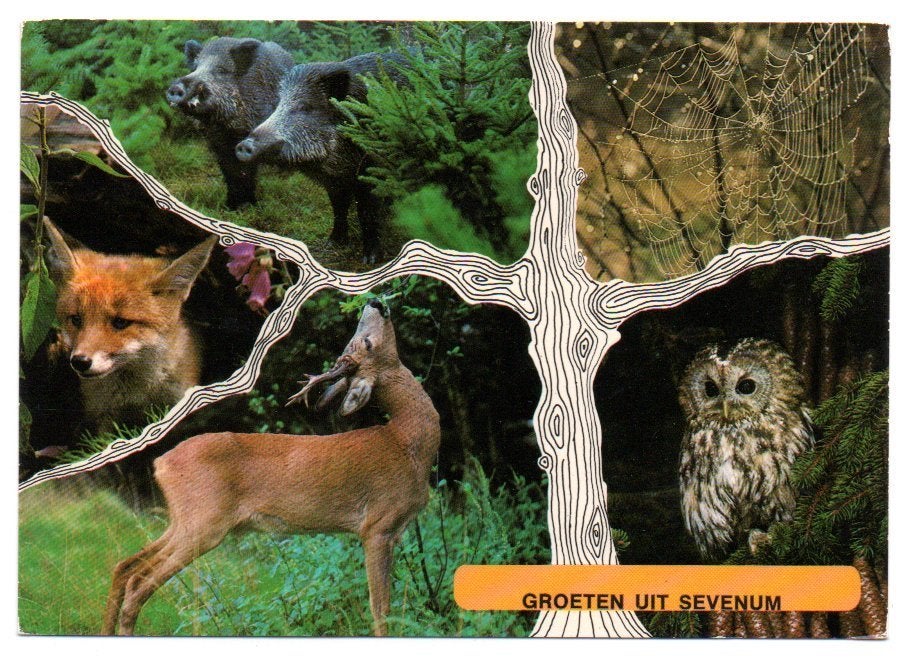 Groeten uit Sevenum (fantasie) 1977, Ophalen, 1960 tot 1980, Gelopen, Limburg