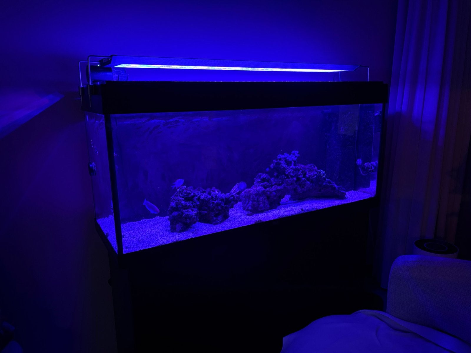 Juwel 240 aquarium ZGAN, Ophalen, Inclusief deksel, Zo goed als nieuw, Leeg aquarium