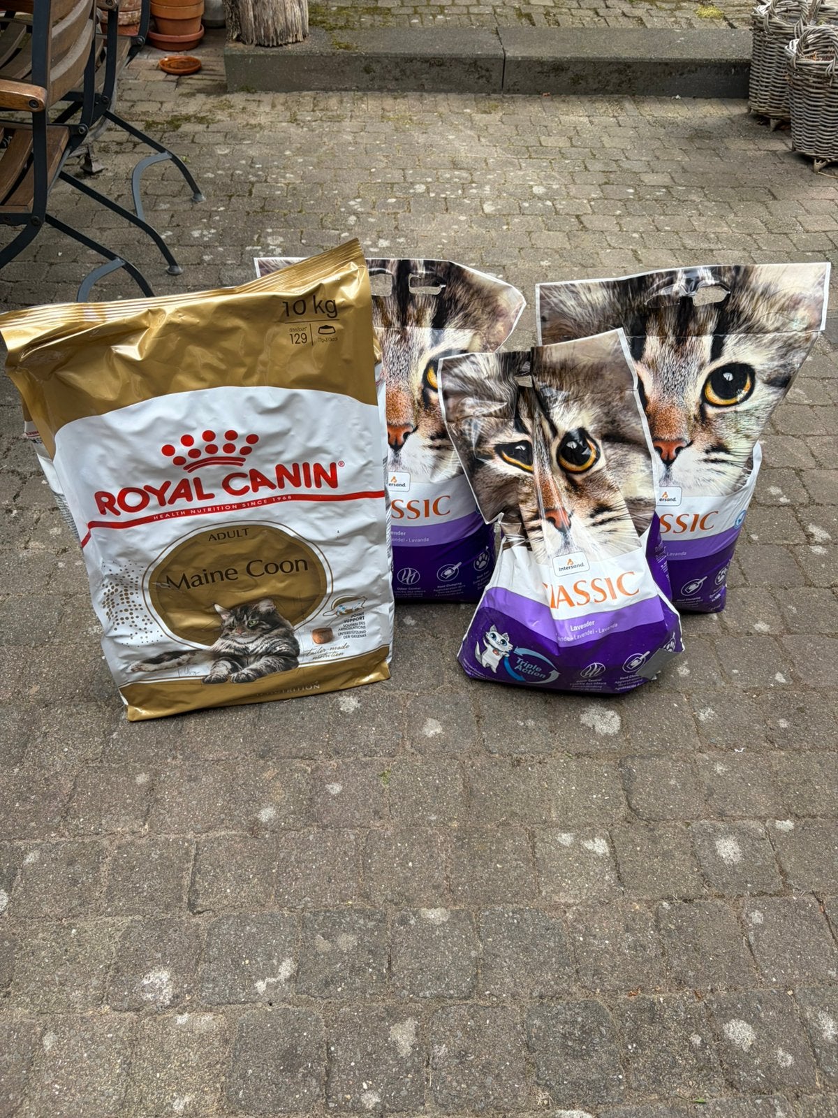Royal Canin Maine coon voer / Intersand Classic lavendel, Ophalen, Kat