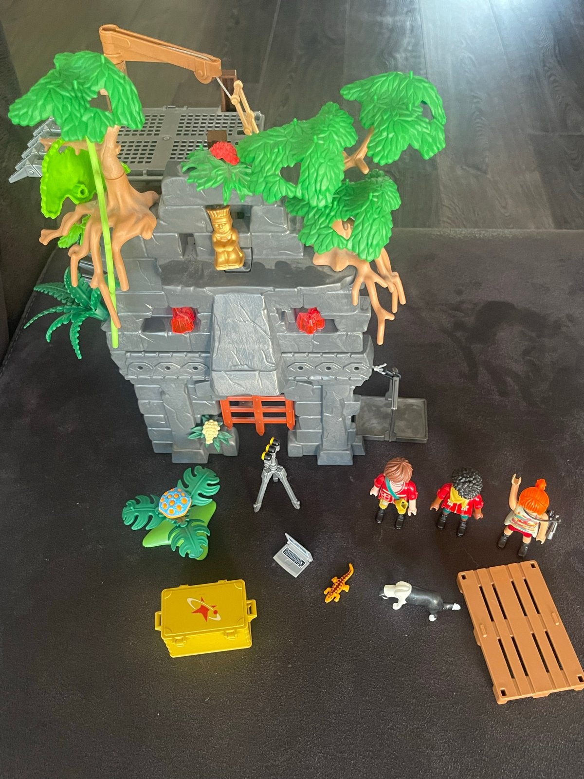 Playmobil Avontuurlijke Jungle Tempel met Figuren, Ophalen, Gebouw, Complete set, Zo goed als nieuw