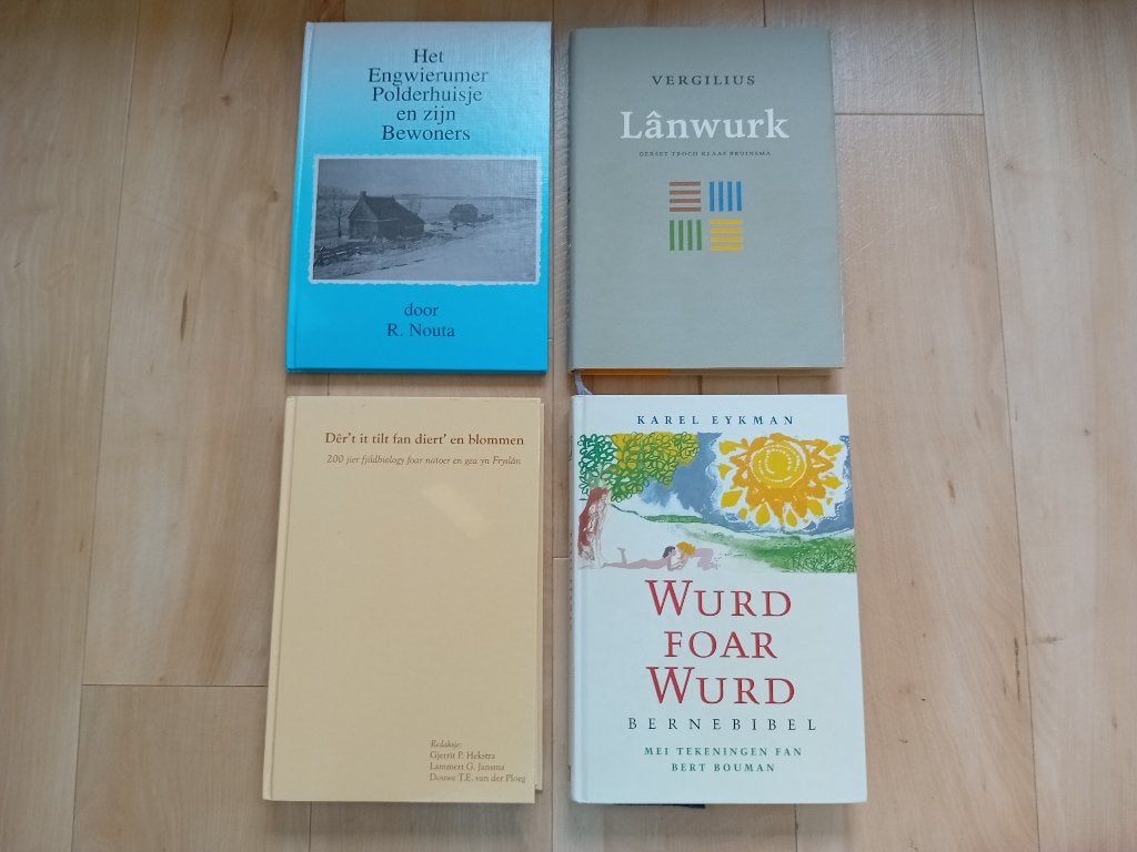 Friese boeken: geschiedenis, poëzie en kinderbijbel., Boeken, Gelezen, Ophalen of Verzenden, R. Nouta, Vergilius, Karel Eykman