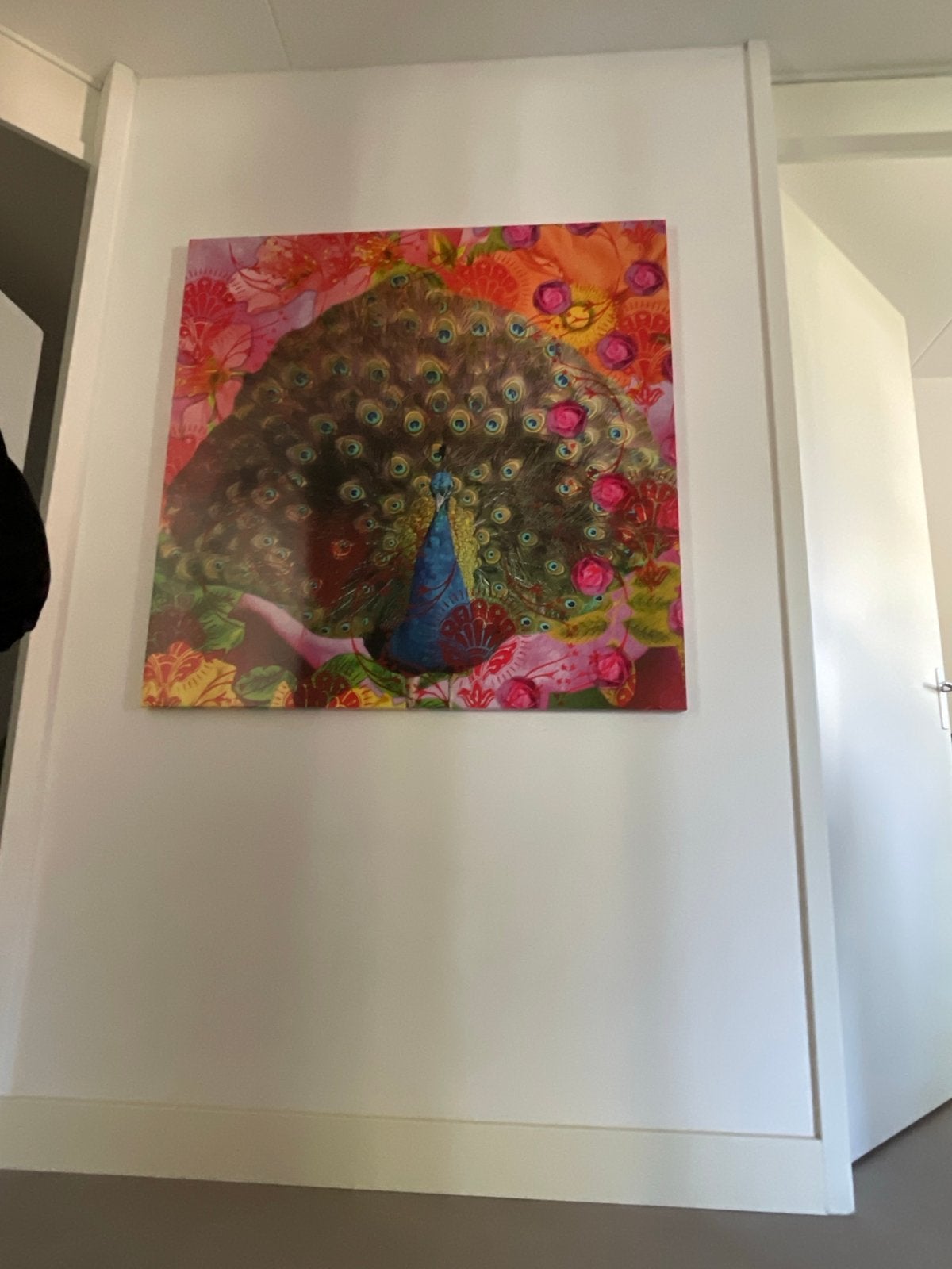 Groot Kleurrijk schilderij van pauw - 114x114 cm, Ophalen, Zo goed als nieuw, Schilderij, 100 tot 125 cm