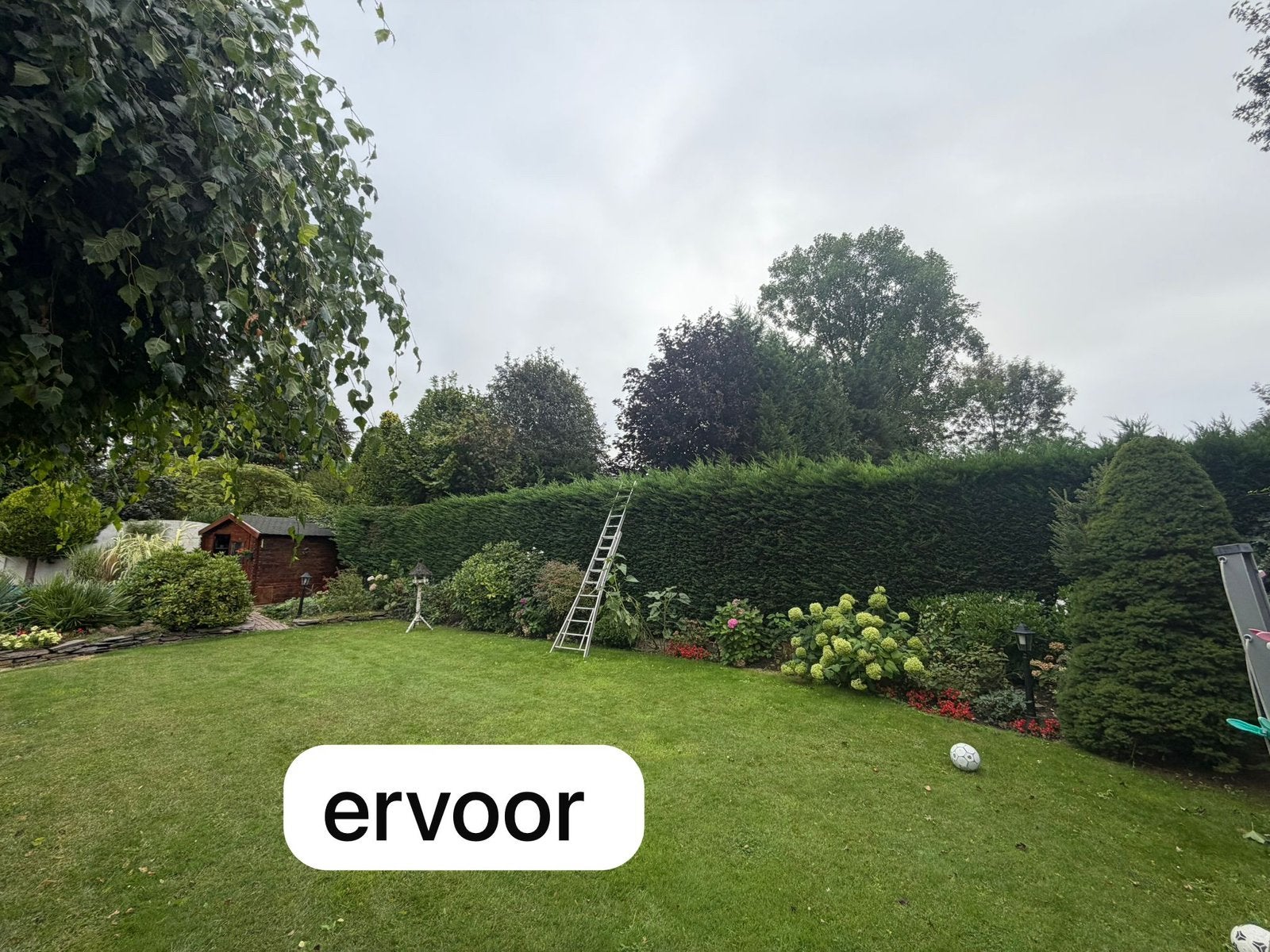 Tuin