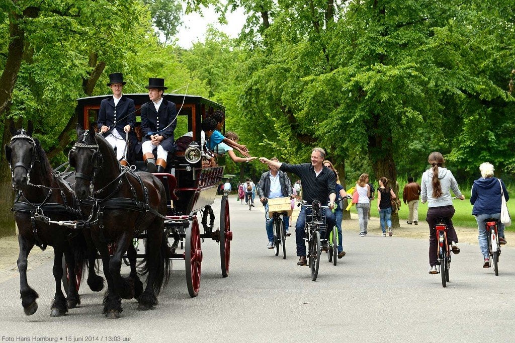 te koop Janplezier of familiekoets, Dieren en Toebehoren, Gebruikt, Overige typen, Paard, Gesloten