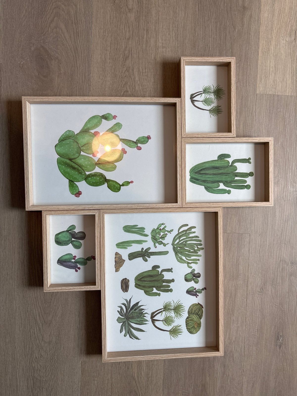 Fotolijst voor meerdere foto's - Collage van cactussen, Huis en Inrichting, Ophalen, Beige, Collagelijst, Zo goed als nieuw
