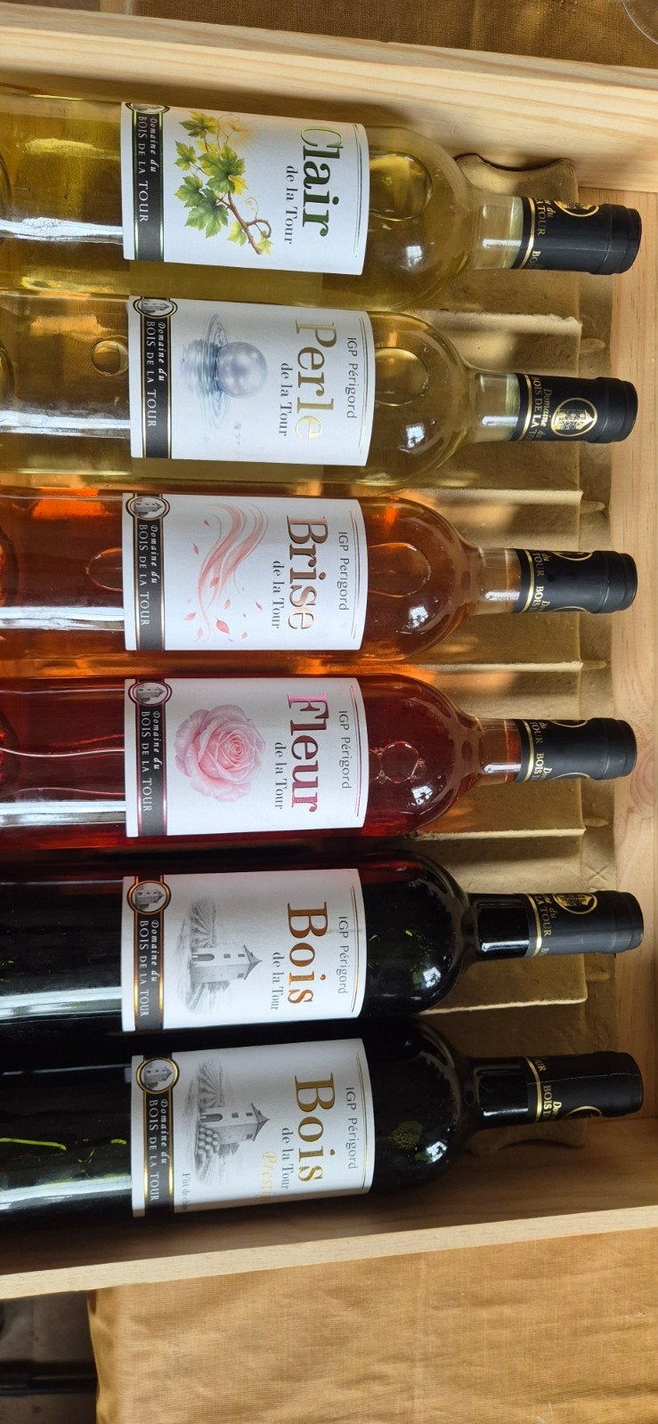 Domaine du Bois de la Tour - Mooie wijn in cadeauverpakking, Ophalen of Verzenden, Nieuw, Frankrijk, Rode wijn