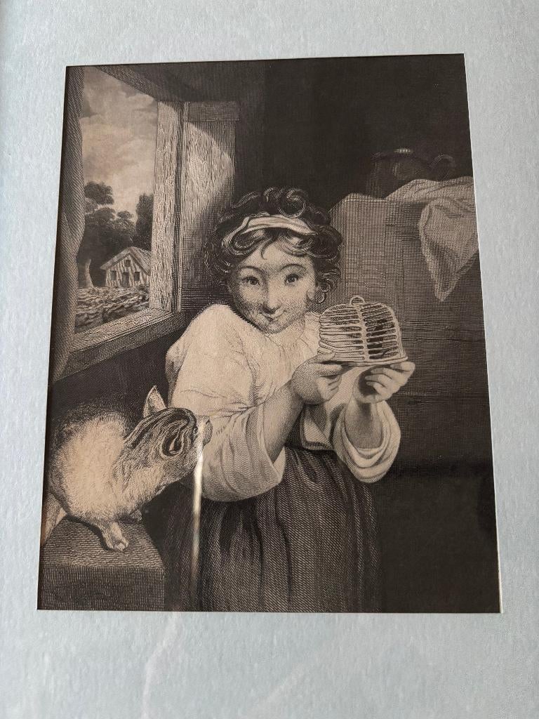 Kopergravure naar schilderij Joshua Reynolds – A happy puss, Antiek en Kunst, Ophalen of Verzenden, Flora en Fauna, Gravure