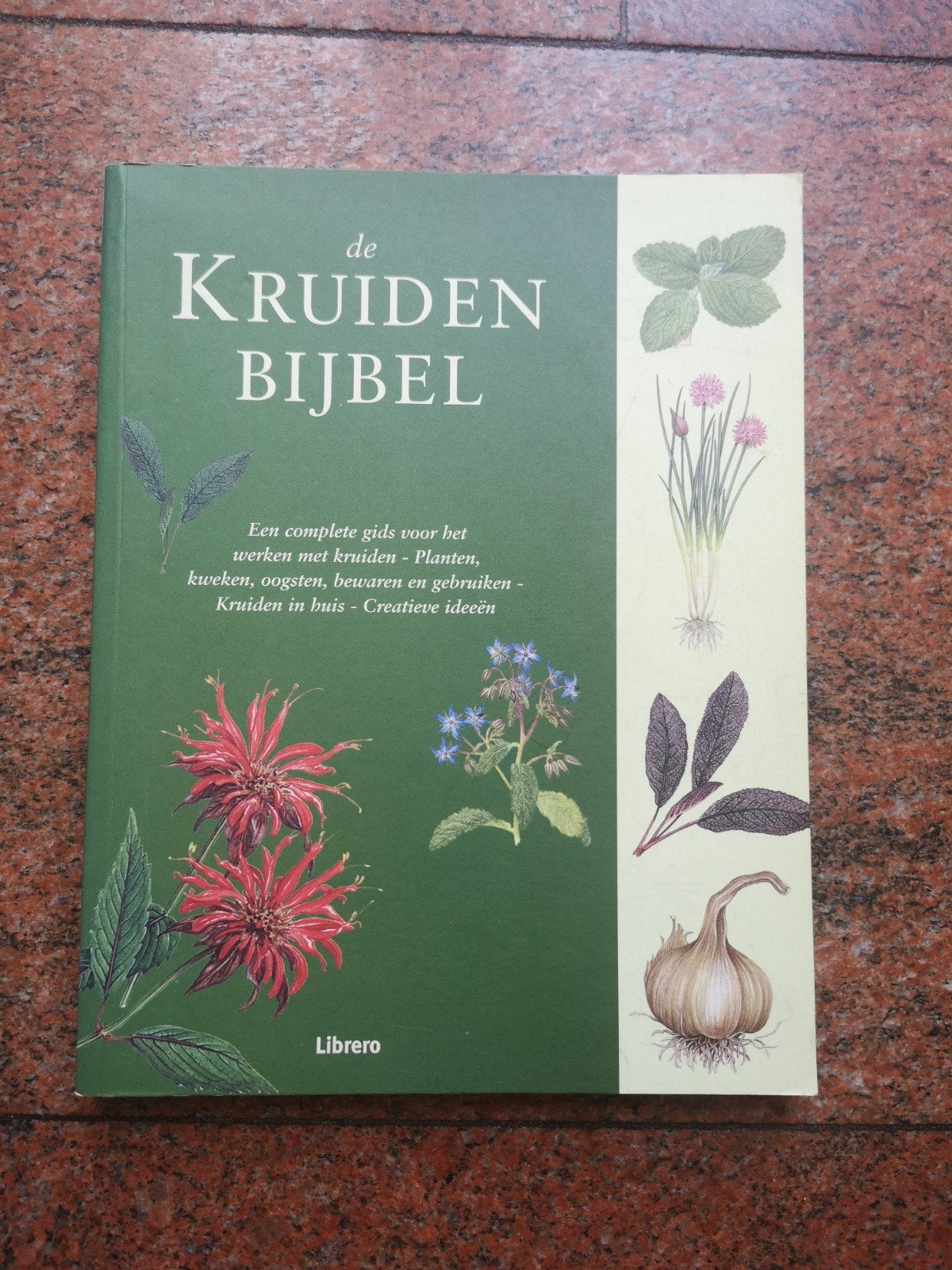 De Kruidenbijbel, Boeken, Natuur, Zo goed als nieuw, Bloemen, Planten en Bomen, Ophalen of Verzenden