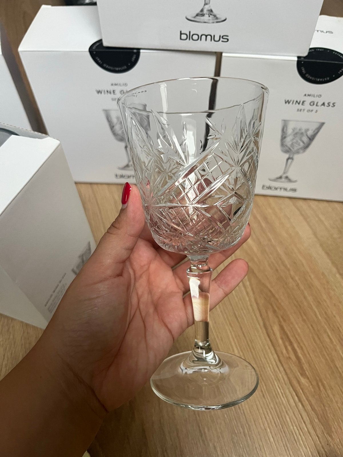 10x Blomus Amilio Wijn Glazen - Set van 2, Ophalen
