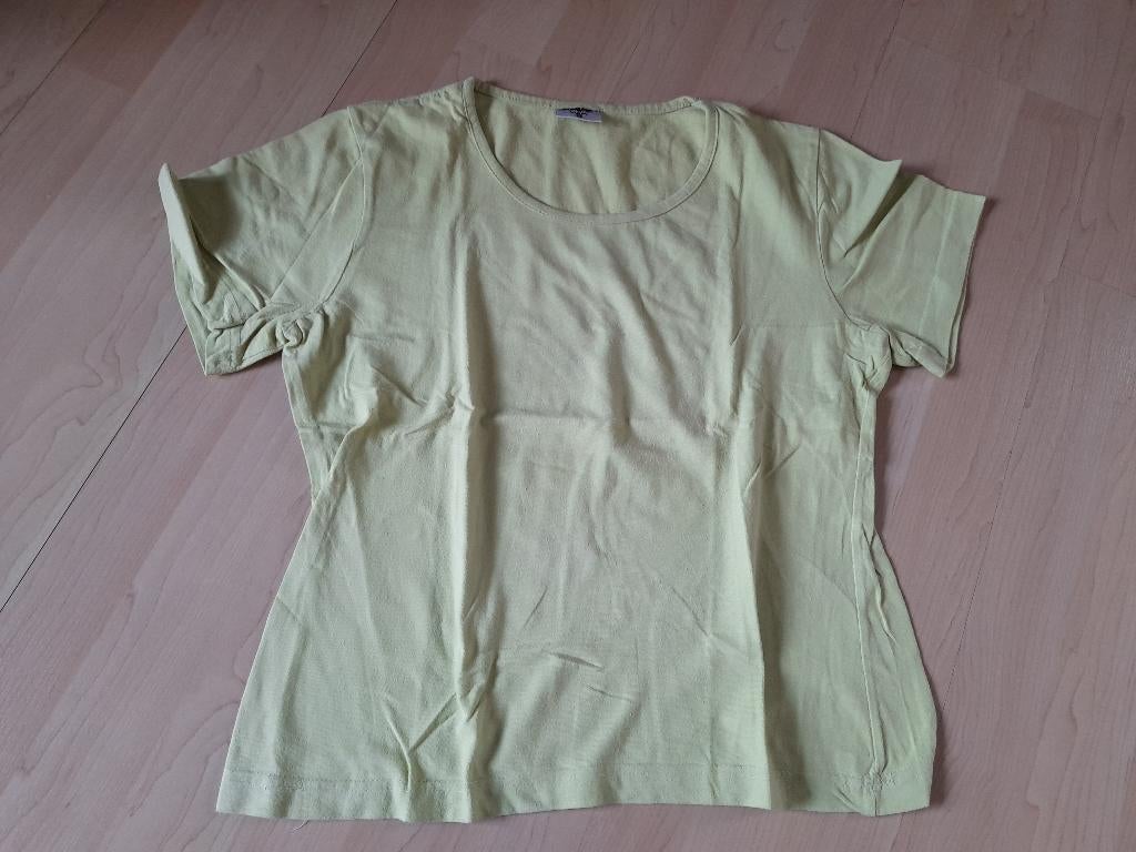 Groen SHIRT / TOP maat S merk Shamp, Maat 38/40 (M), Ophalen of Verzenden, Zo goed als nieuw, Lange mouw