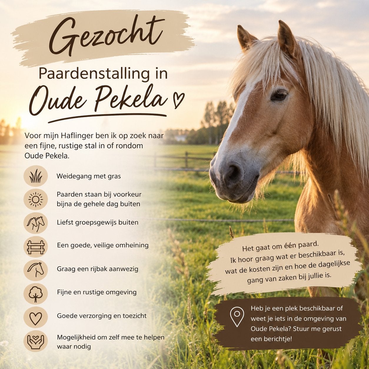 Stalling gezocht pony in Oude Pekela