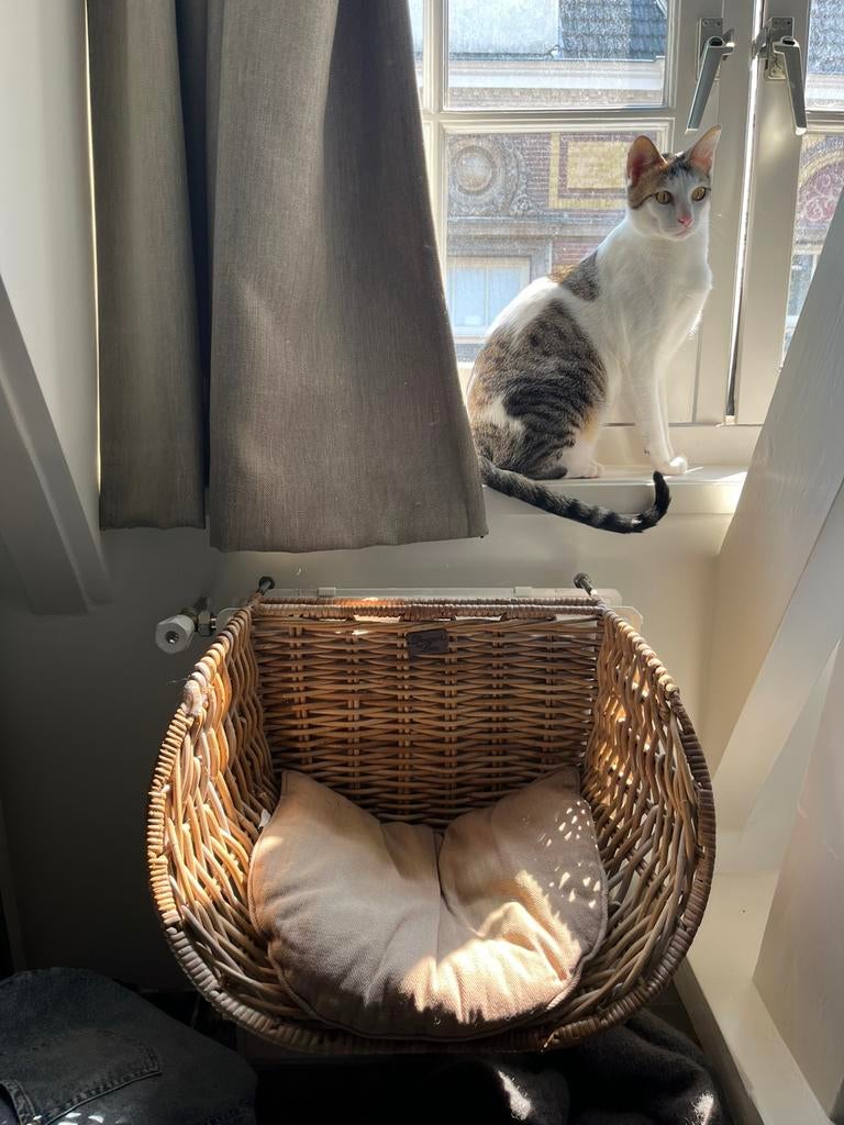 Mooie rieten radiator kattenmand incl. kussen, Ophalen, Gebruikt, Riet
