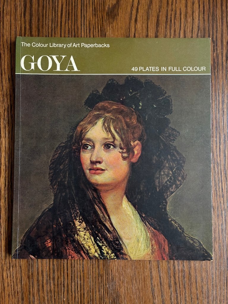 2 boeken over Goya, Ophalen of Verzenden, Gelezen