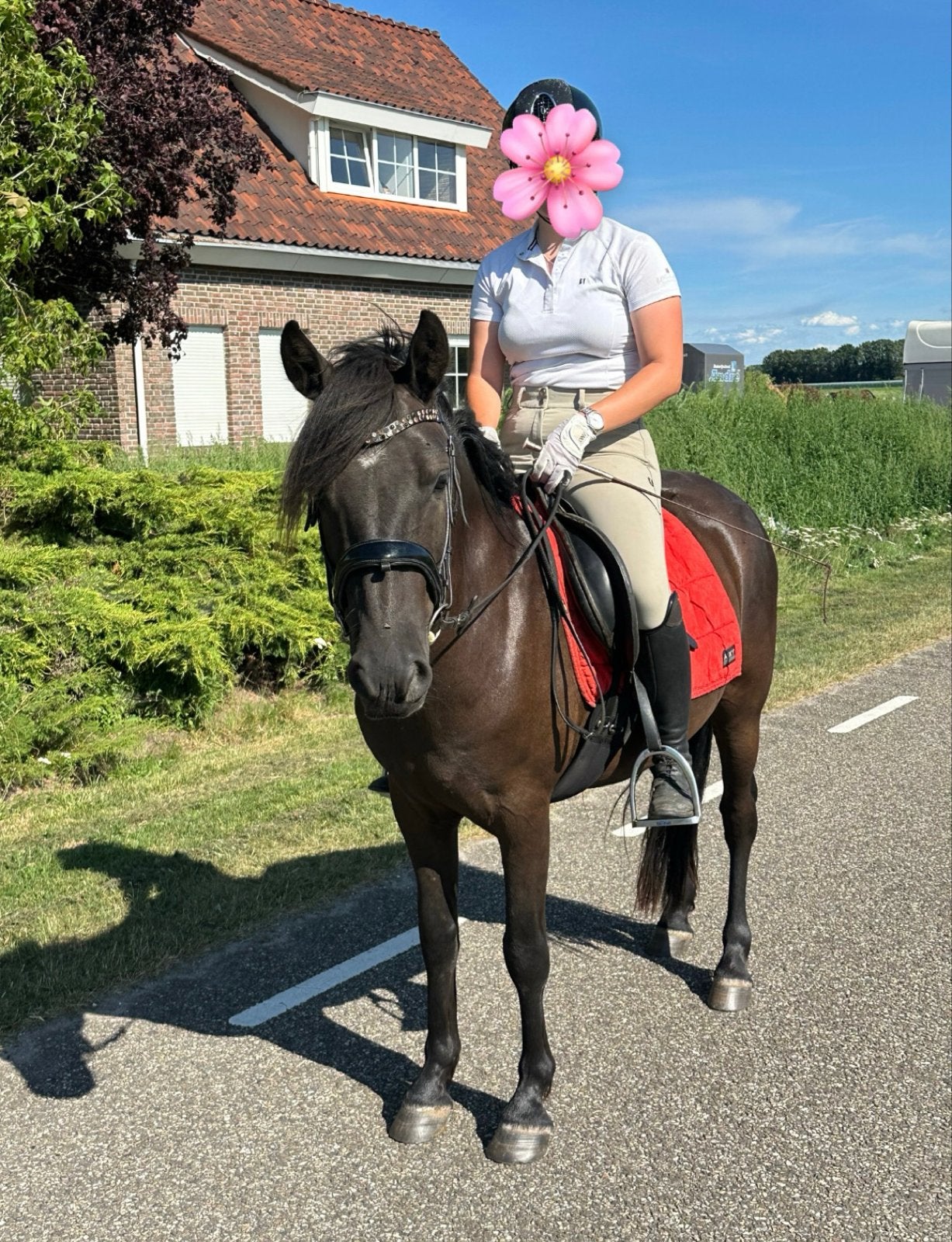 Super leuke kinder pony!!😍, Dieren en Toebehoren, Pony's, Gechipt, B, Ruin, 3 tot 6 jaar