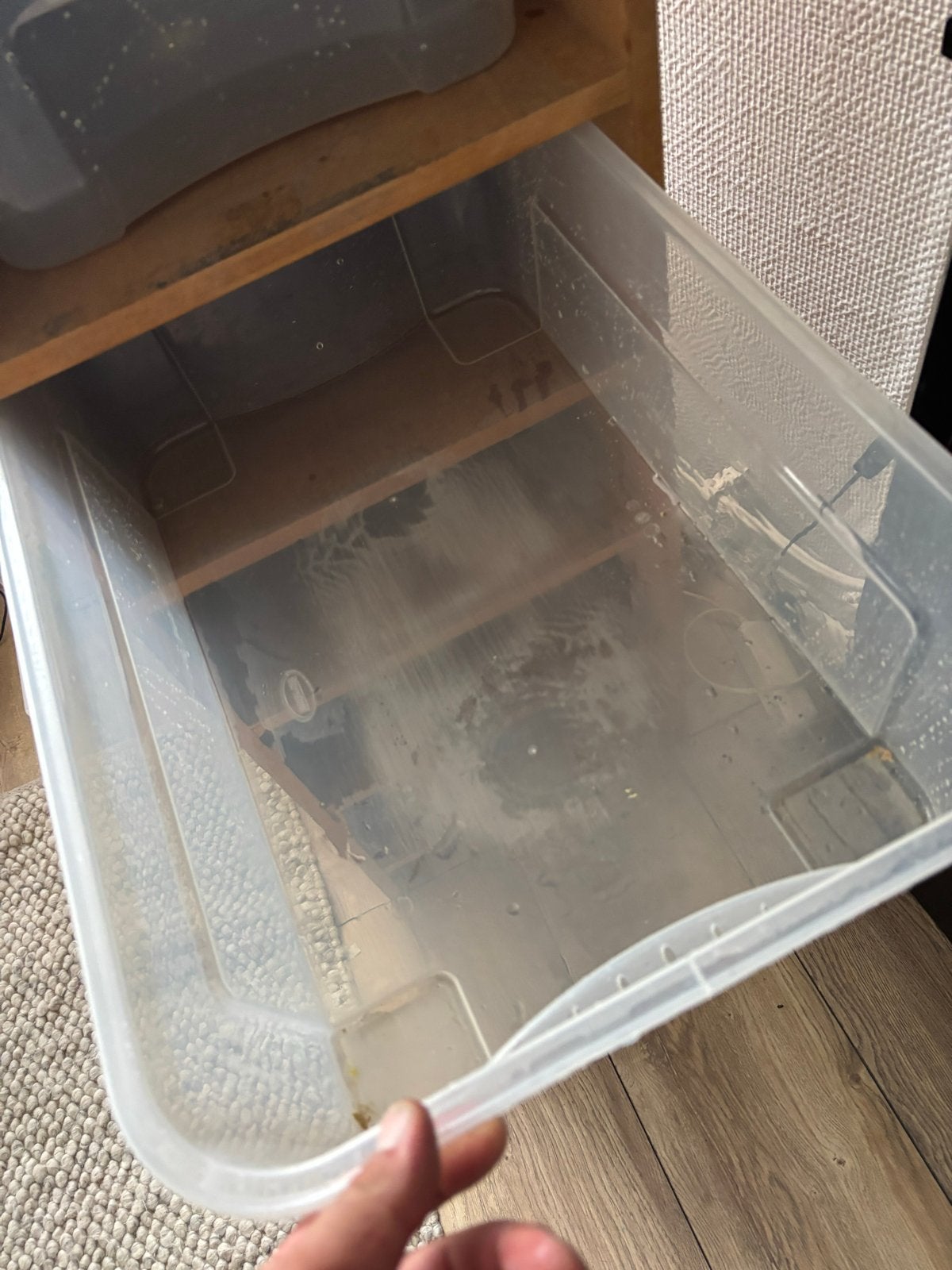 Kweek kast slangen te koop, Ophalen