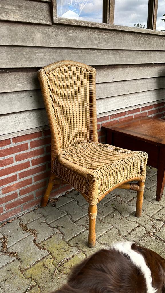 Eetkamerstoelen, Ophalen, Gebruikt, Riet of Rotan, Vier
