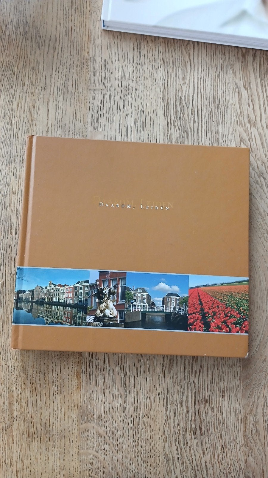 Daarom Leiden - Prachtig geïllustreerd boek over Leiden, Ophalen of Verzenden, 20e eeuw of later, Zo goed als nieuw, Onbekend