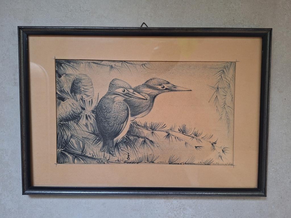 Vintage Jan Schonk ingelijste prent ijsvogels, Ophalen of Verzenden