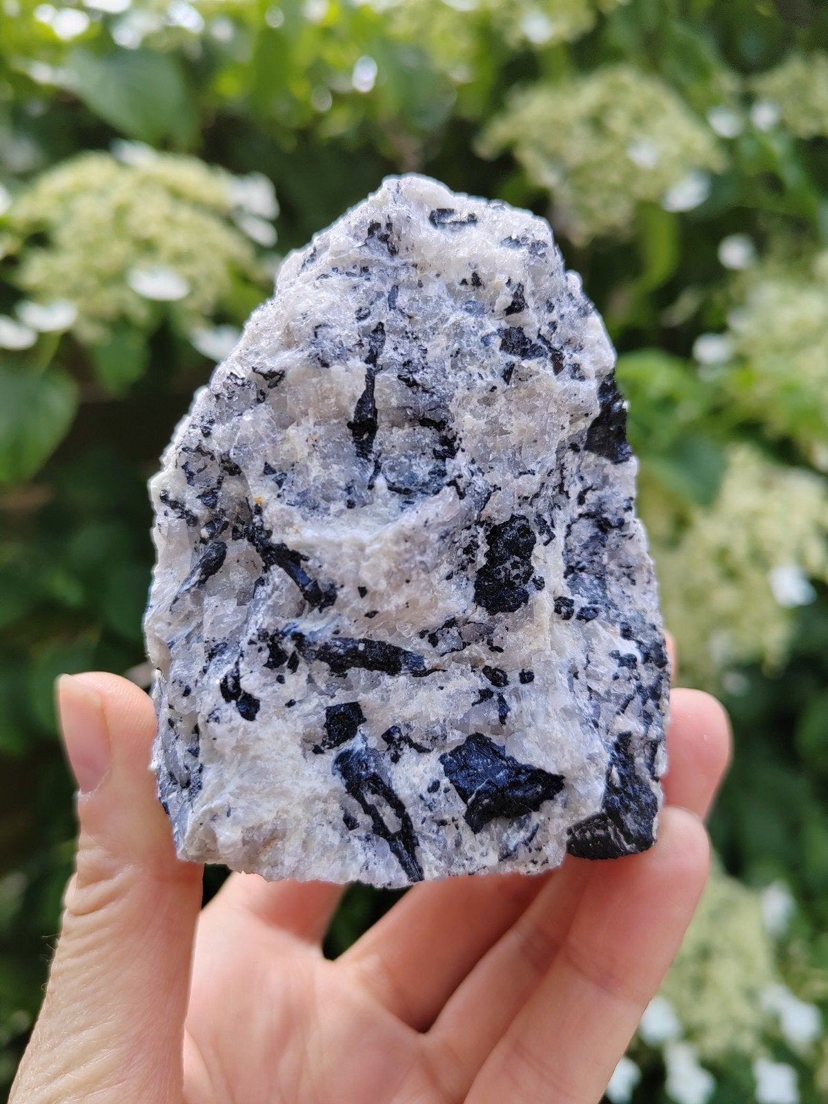 Zwarte toermalijn in kwarts, Ophalen of Verzenden, Mineraal