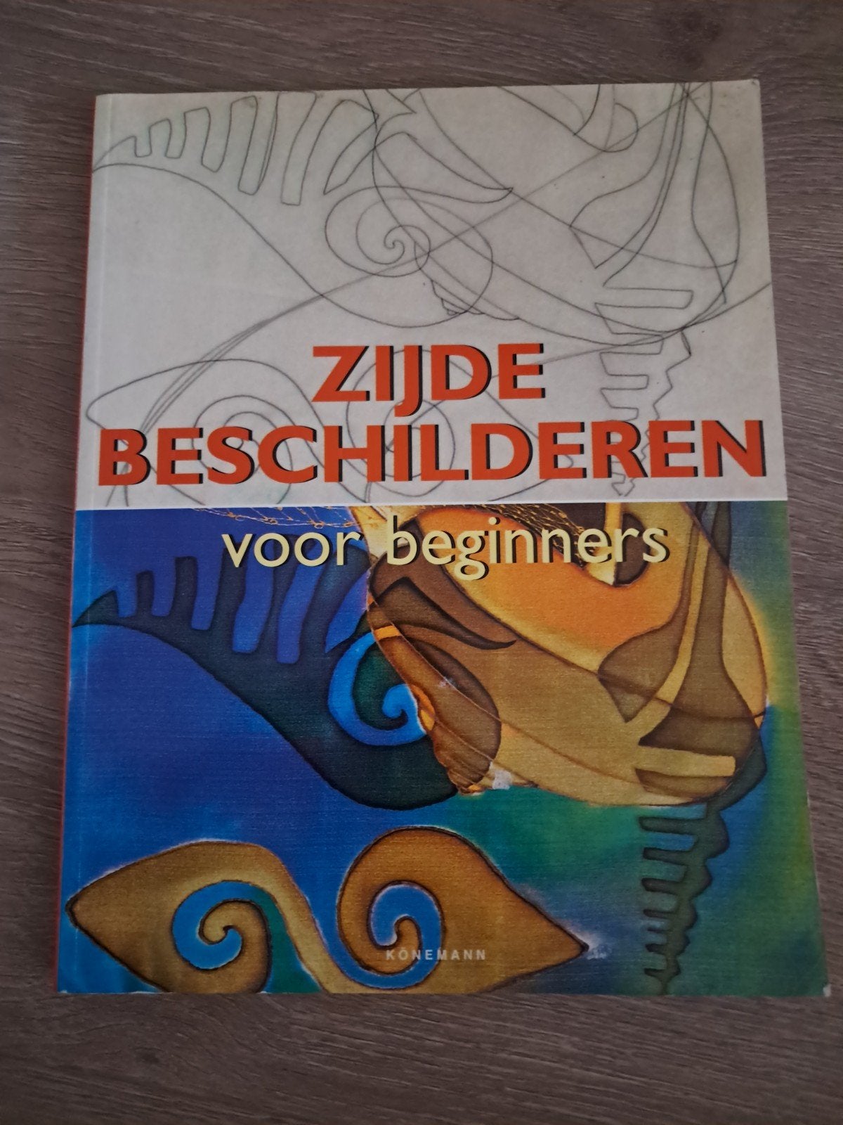 C6 Zijde Beschilderen voor beginners - Konemann, Ophalen of Verzenden, Zo goed als nieuw, Tekenen en Schilderen, Konemann