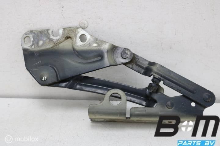 Motorscharnier rechts VW Golf Plus 6 5M0823302, Gebruikt