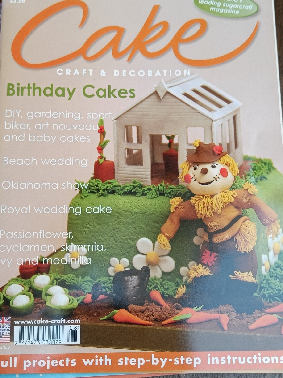Cake 39 Engelse Tijdschriften met Werkbeschrijvingen, Hobby en Vrije tijd, Ophalen of Verzenden, Zo goed als nieuw, Taarten of Cupcakes