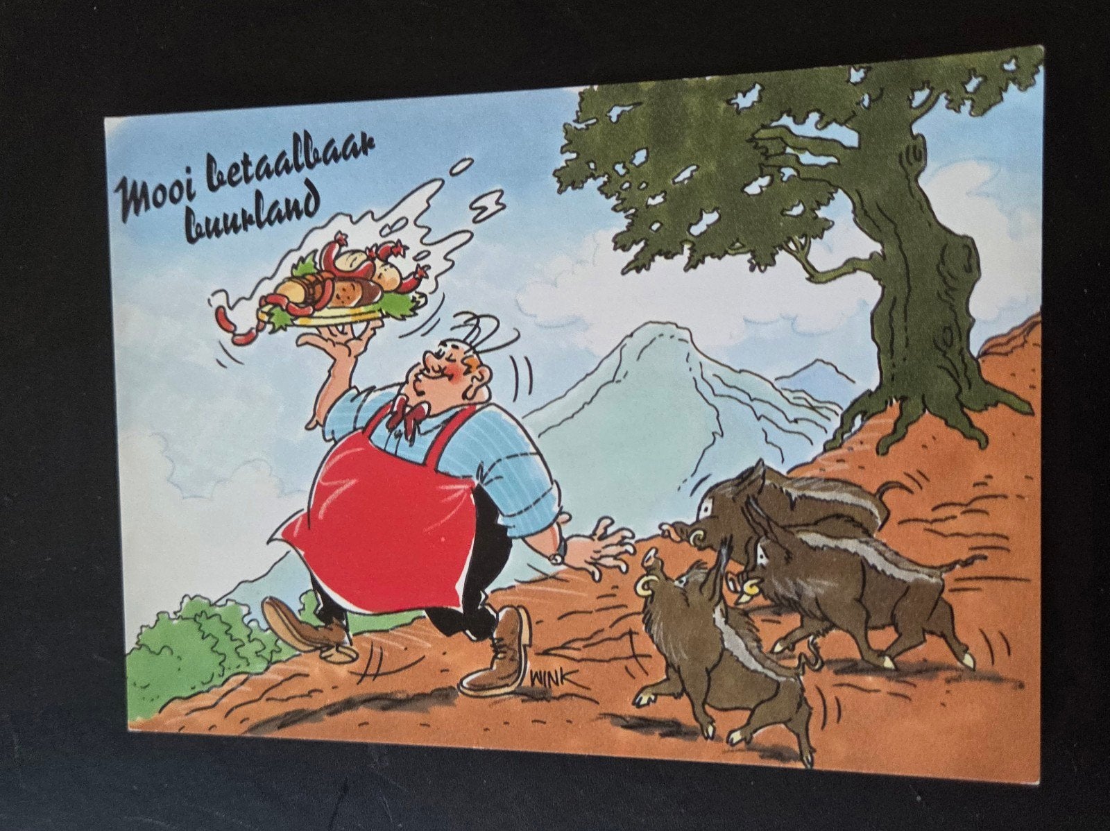 Ansichtkaart Duitsland - Mooi betaalbaar buurland, Verzenden, 1980 tot heden, Ongelopen, Overige thema's