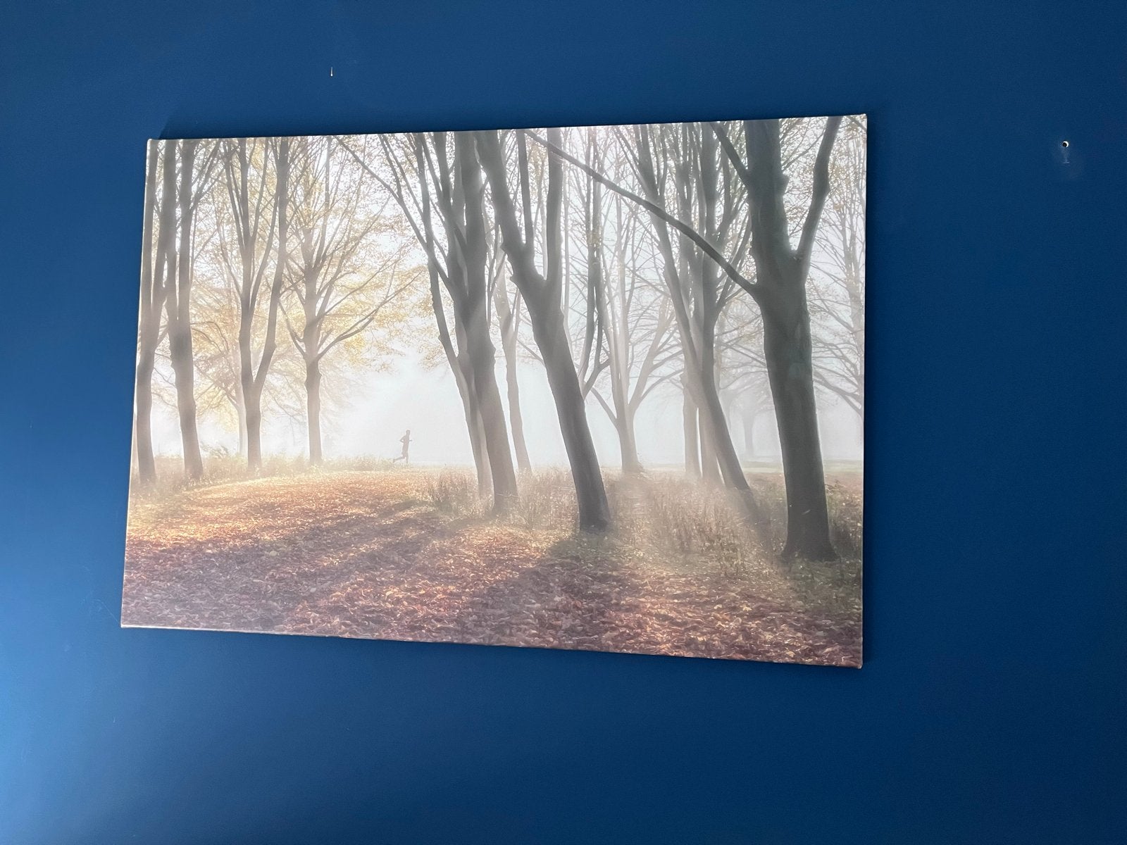 Schilderij: Mysterieus Bos met Mist en Zonnestralen, Ophalen, 50 – 75, Zo goed als nieuw, Schilderij