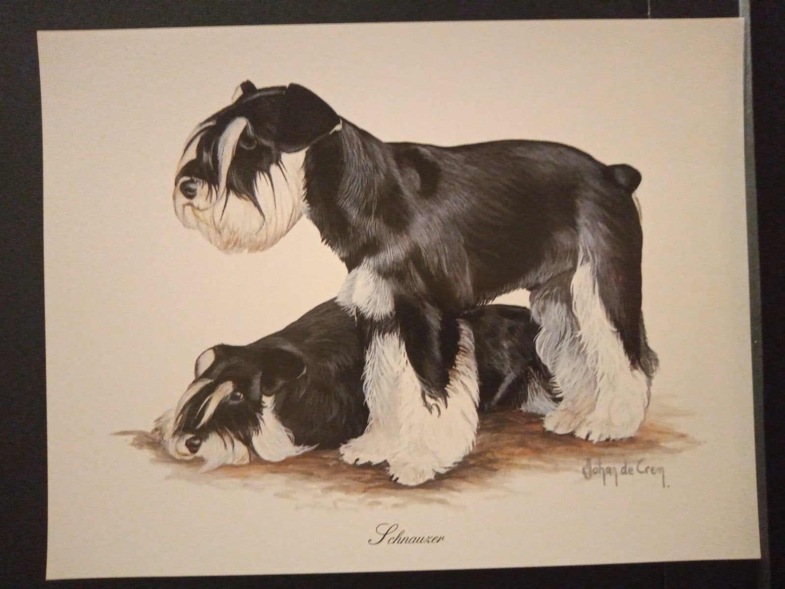Schnauzer - kunstprent - Johan de Crem tekenaar, 1980 tot heden, Ophalen of Verzenden, Zo goed als nieuw, Dier