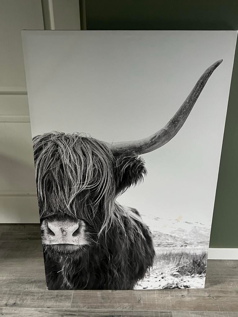 Schilderij Schotse Hooglander Zwart-Wit, Ophalen