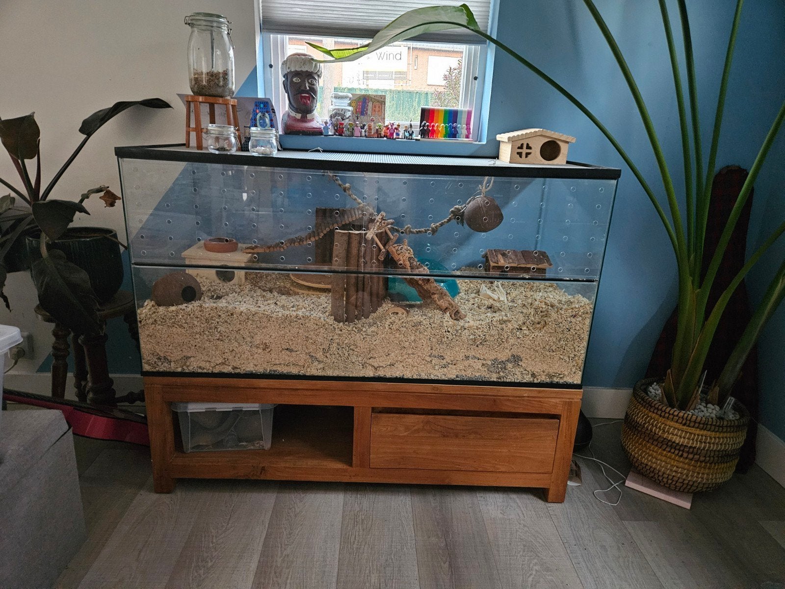 glazen terrarium incl dressior, Ophalen, Zo goed als nieuw, Terrarium of Paludarium