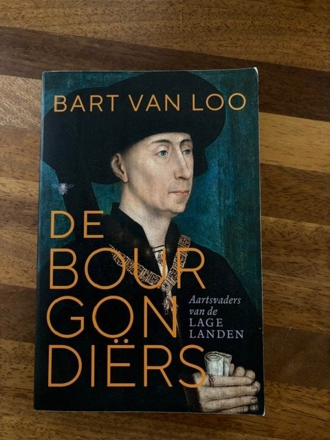De Bourgondiërs – Bart van Loo, Boeken, Ophalen of Verzenden, Gelezen, Bart Van Loo, Europa