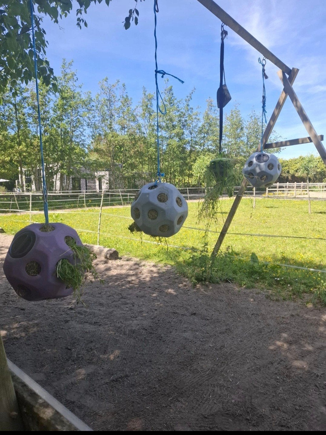 Speel-/voerrek voor paarden inclusief 3 voerballen, Ophalen