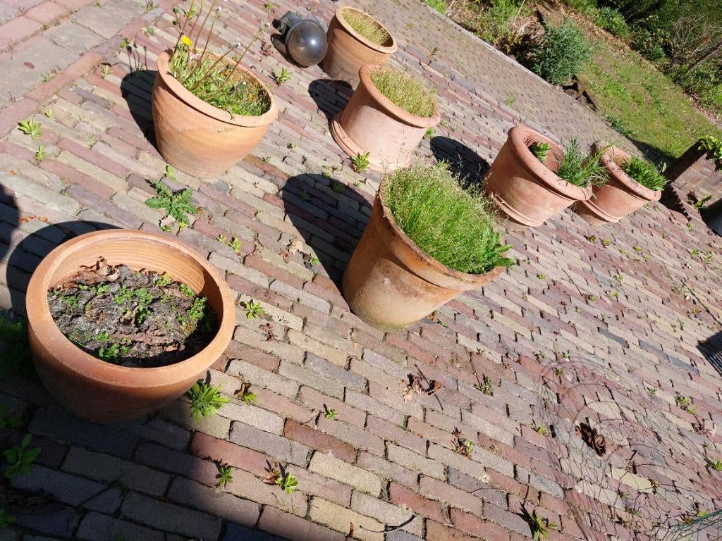 Terracotta bloembakken, Ophalen, Rond, Steen, Minder dan 30 cm