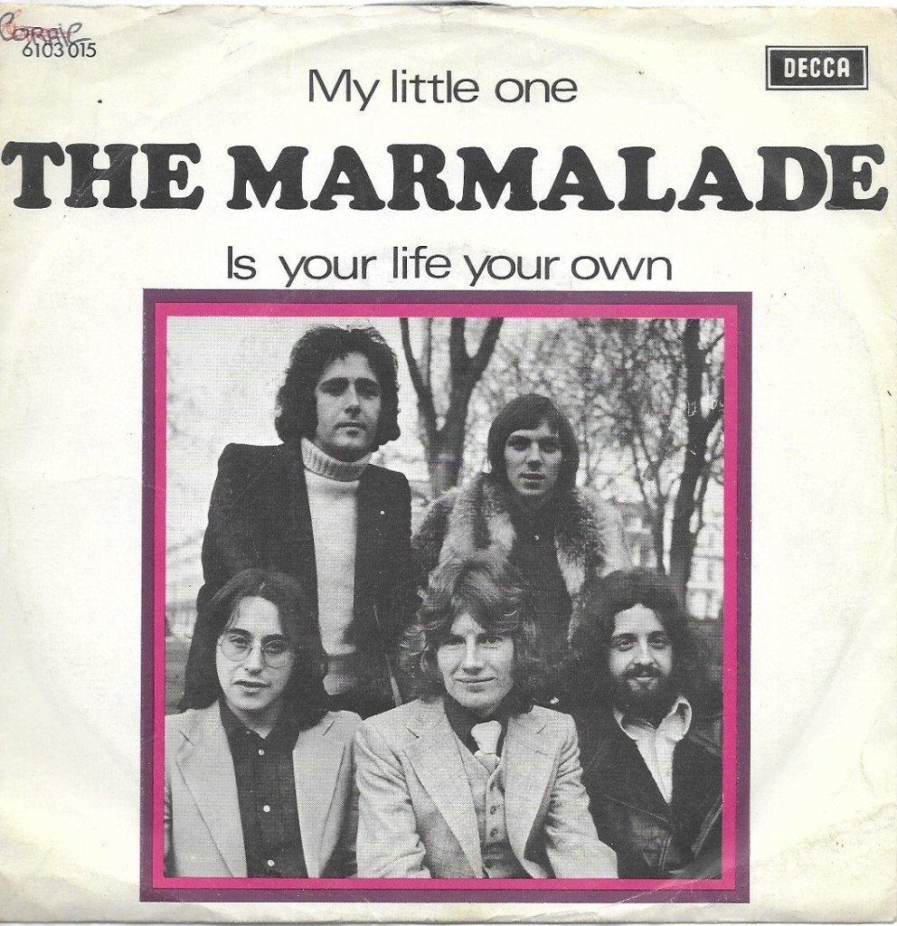 Vinyl Single The Marmalade, Cd's en Dvd's, Ophalen of Verzenden, Gebruikt, Pop